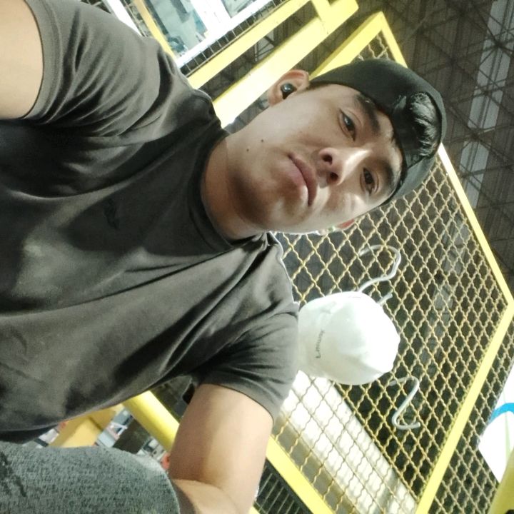 Bolan97