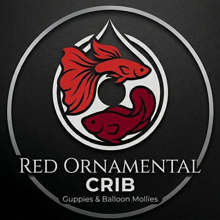 Red Ornamental Crib
