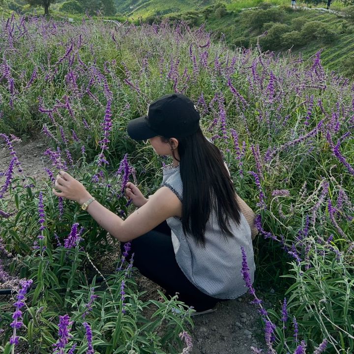 Kathnip