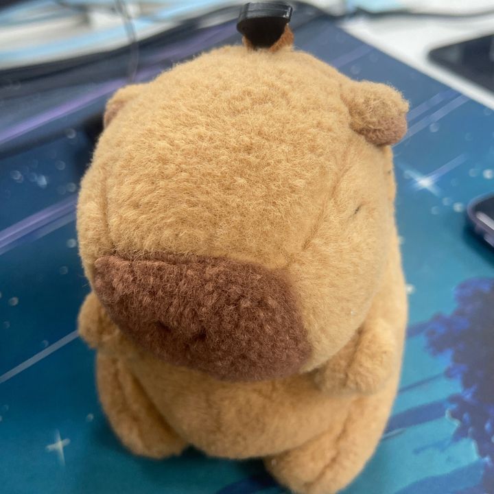 waxwofpy