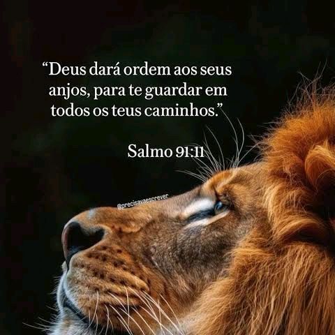 Wilian Soares