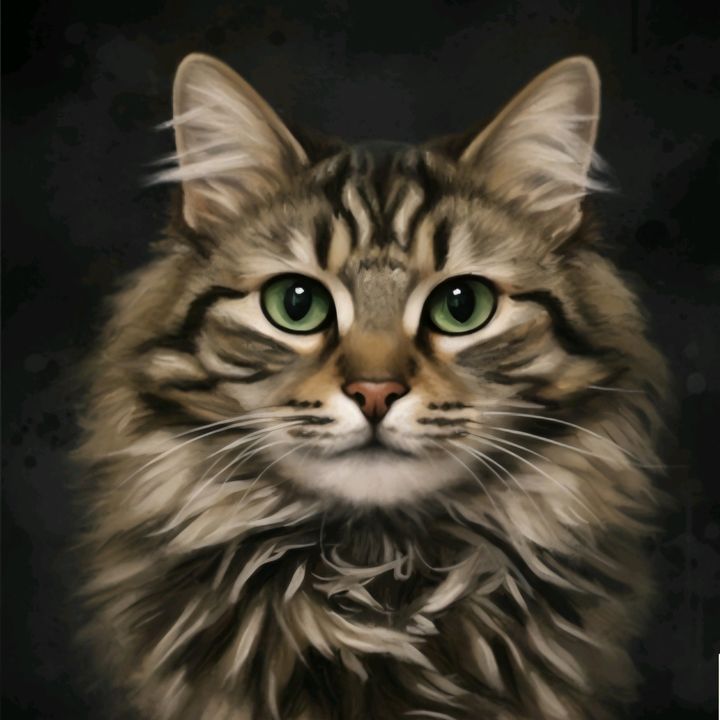 Jacky The Green Eyes Cat