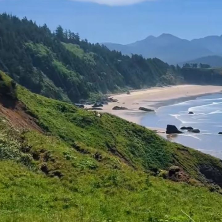 eliadeskittler3772