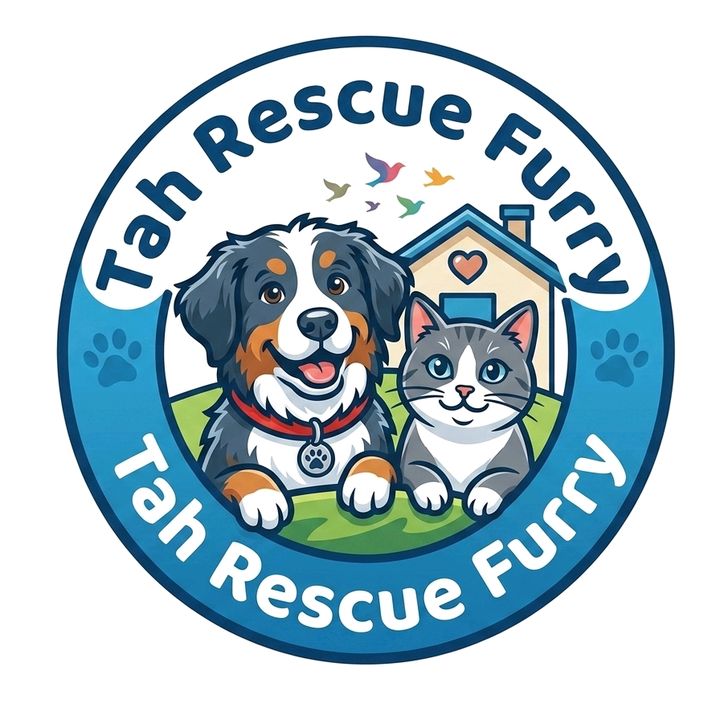 TAH RESCUE FURRY