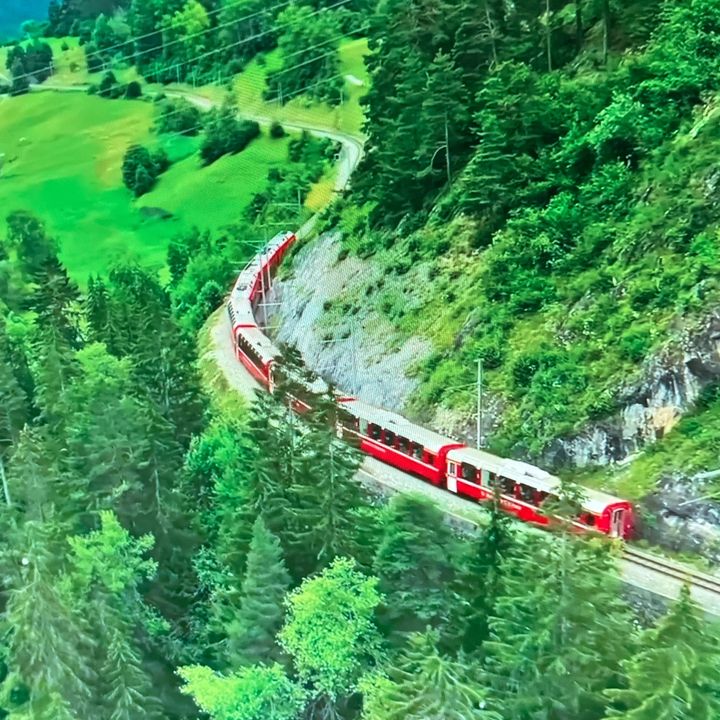 HST9819