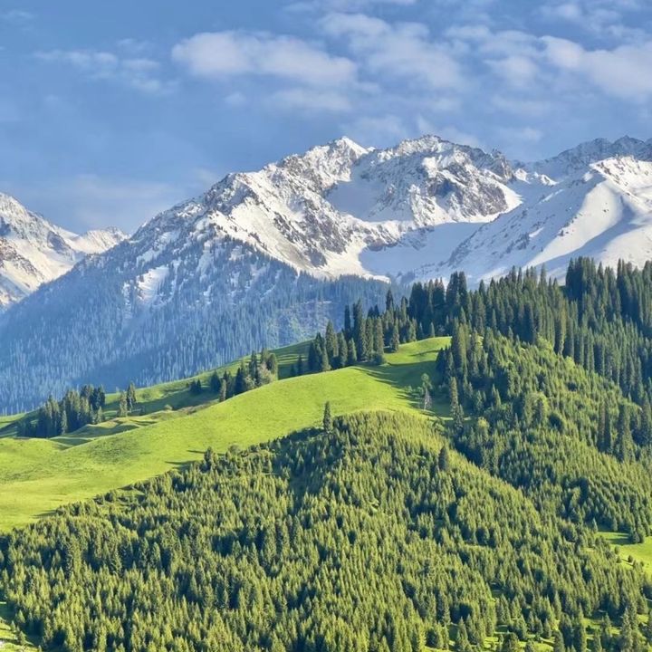 kristiediu078