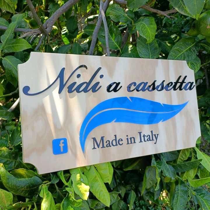 Nidi a cassetta