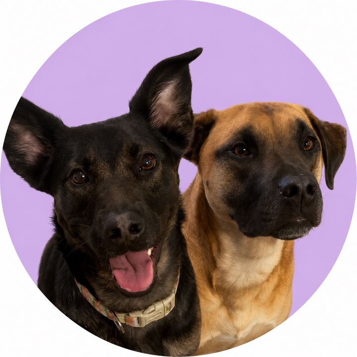 Dale & Daisy