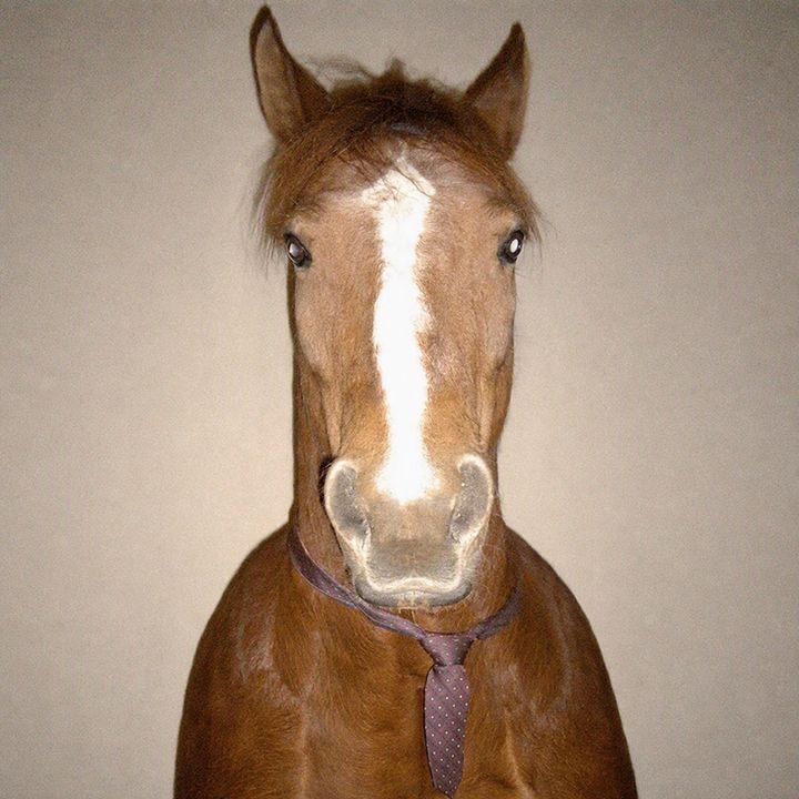 Kyzee
