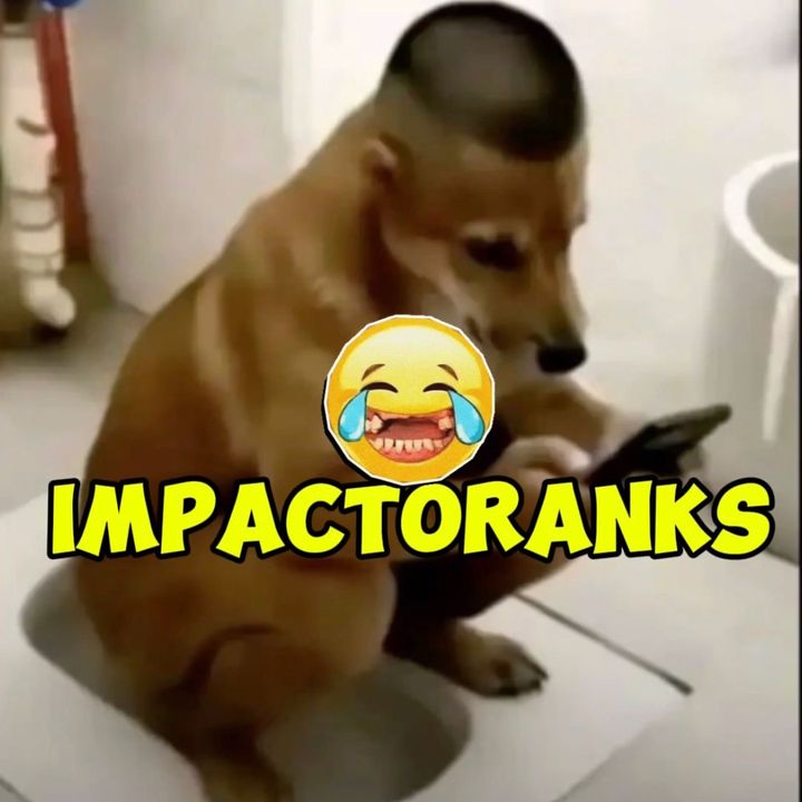 ImpactoRanks