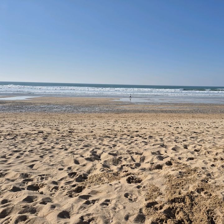 SchoolrunsAndSea