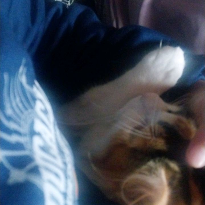 ☆♡♤gabriela☆♤♡♧◇♡♡♡♡☆☆☆