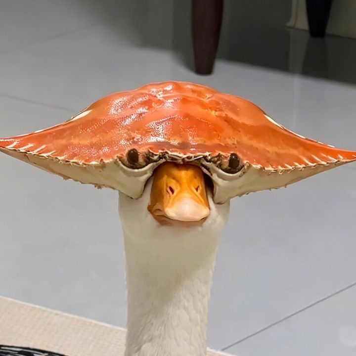 cherywgiakx