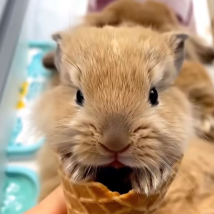 h of f