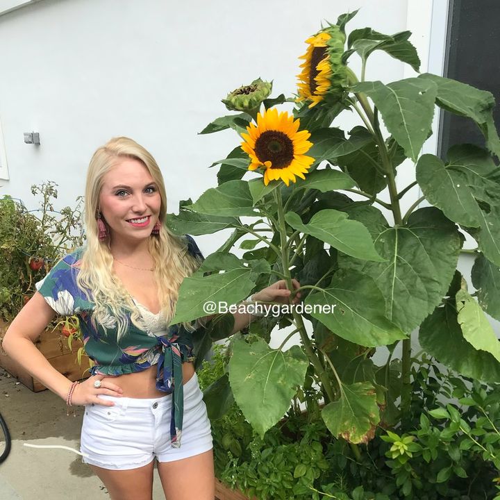 Beachygardener
