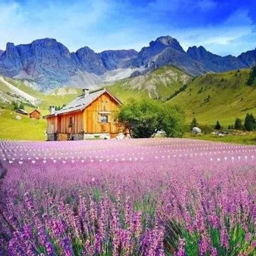 riddickrival2564