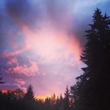 magnalllovetinsky654