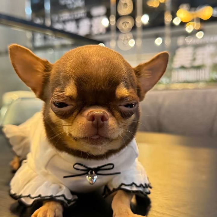 Kiki smile