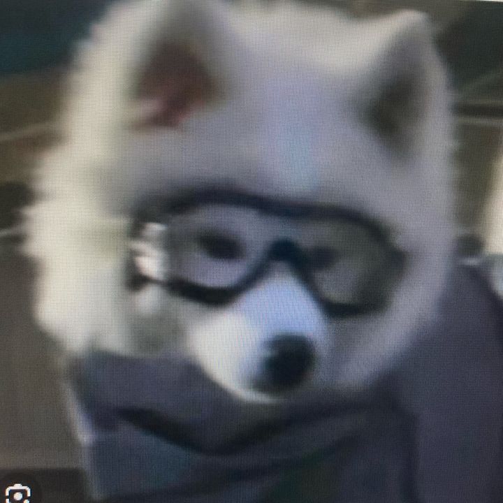 tobiassou15