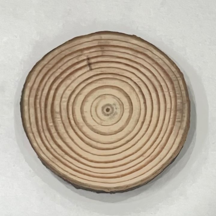 vongkhamchanhplueger755