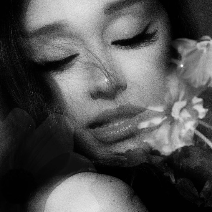 𑣲⋆ Lavender