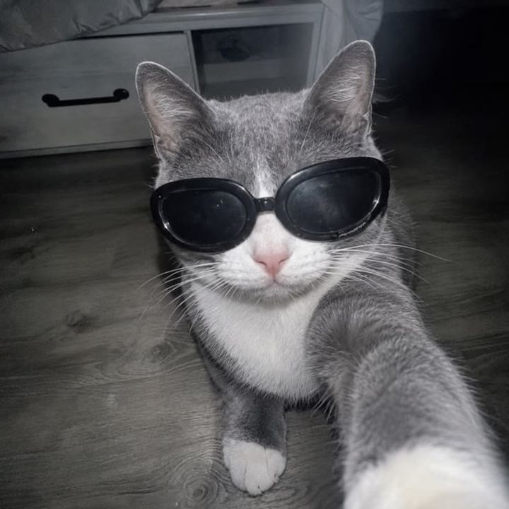 Max