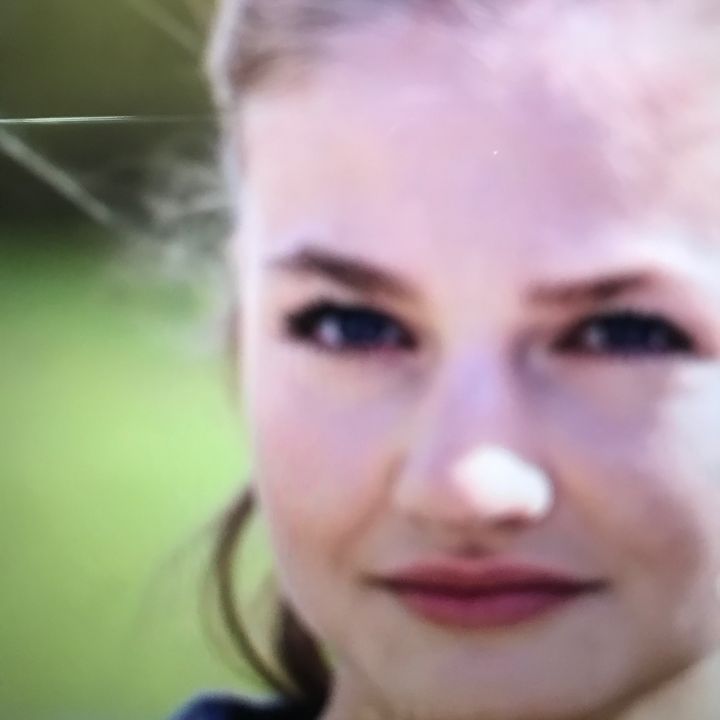 finnbiao4