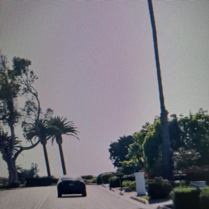 orlanntgs