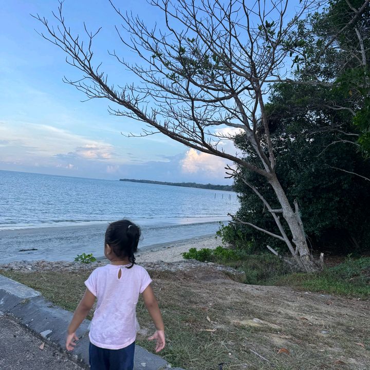 Amizarinda