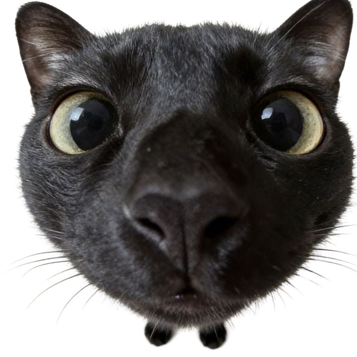 rosyvkwo