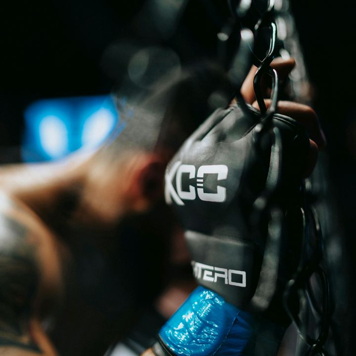 world of MMA