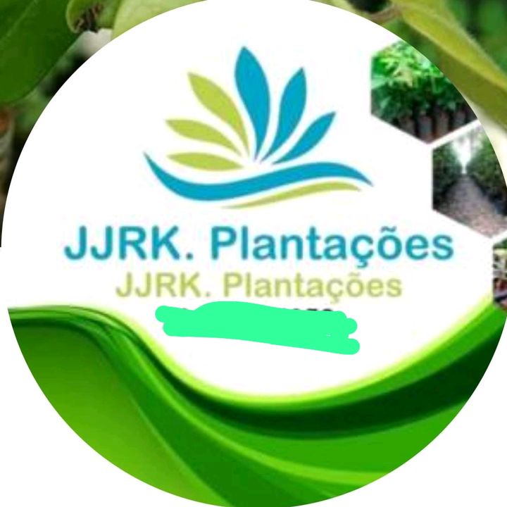 JJRK. PLANTAÇÕES