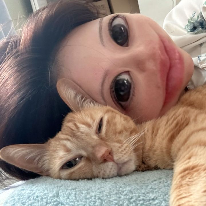 猫のお城🐱🏠 | mona