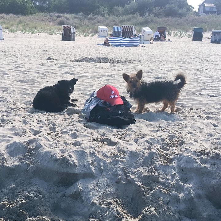 KROPKA&KRESKA