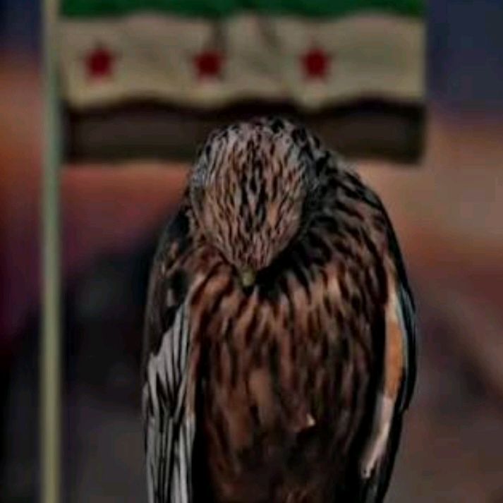 Huzaifa