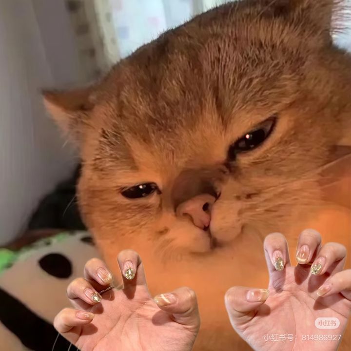 Nail Babe