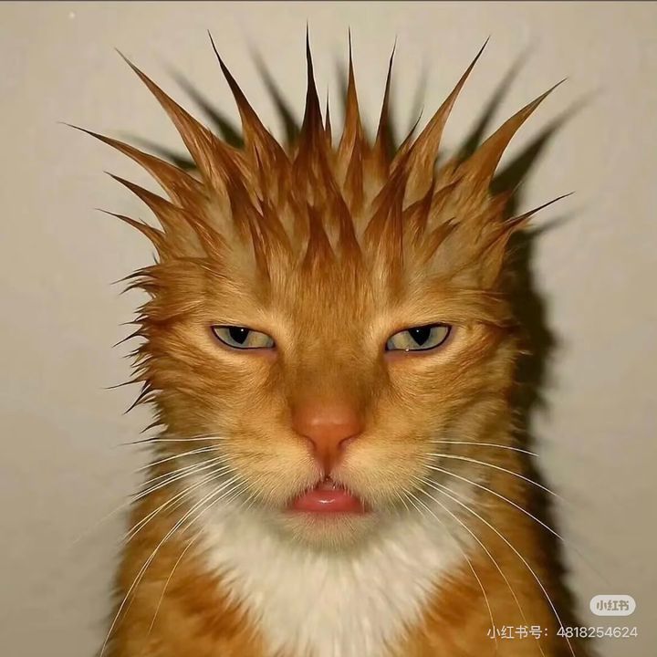 keketty90
