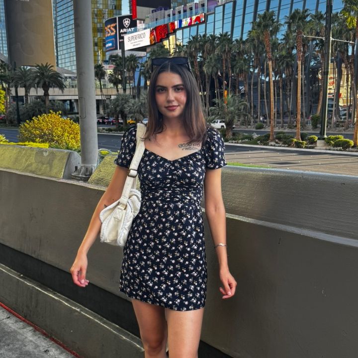 plamifinds