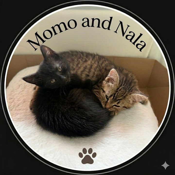 MomoAndNala