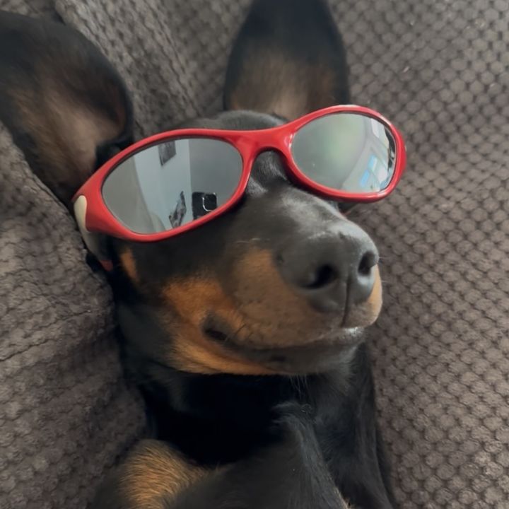 Snoopy