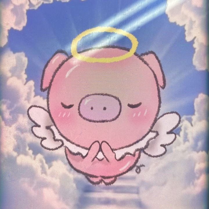 qifwscslvyihz0226