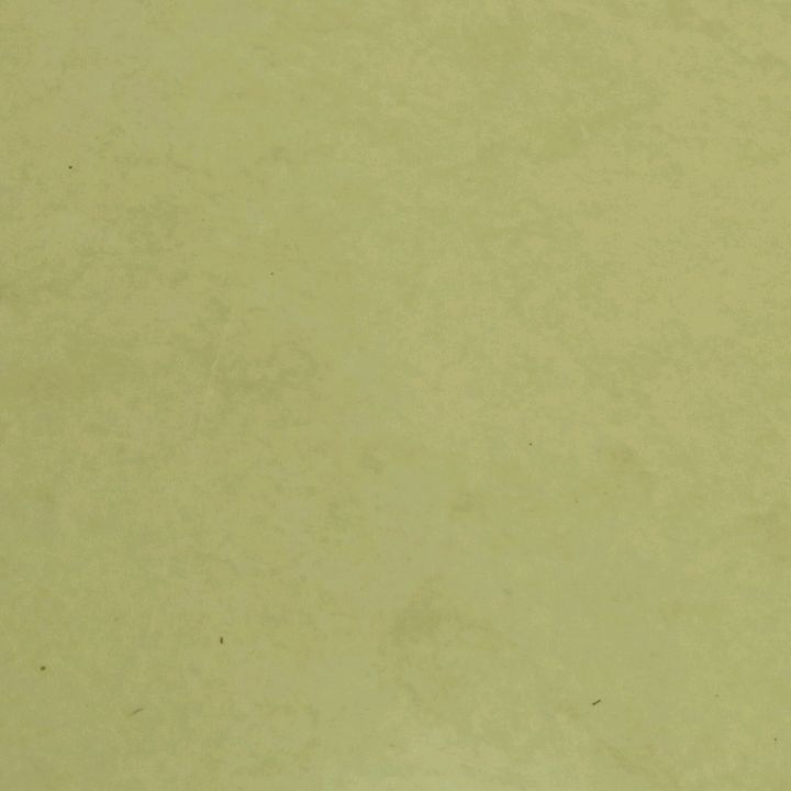 aqielgeydvj