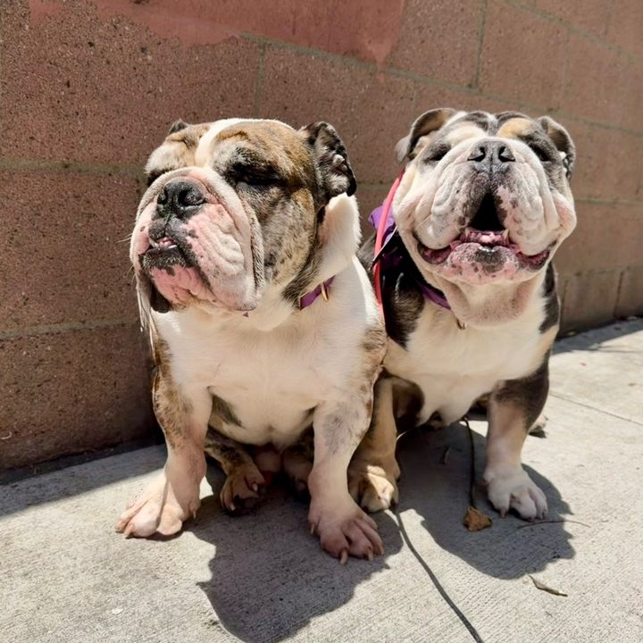 Benjamin and Wally