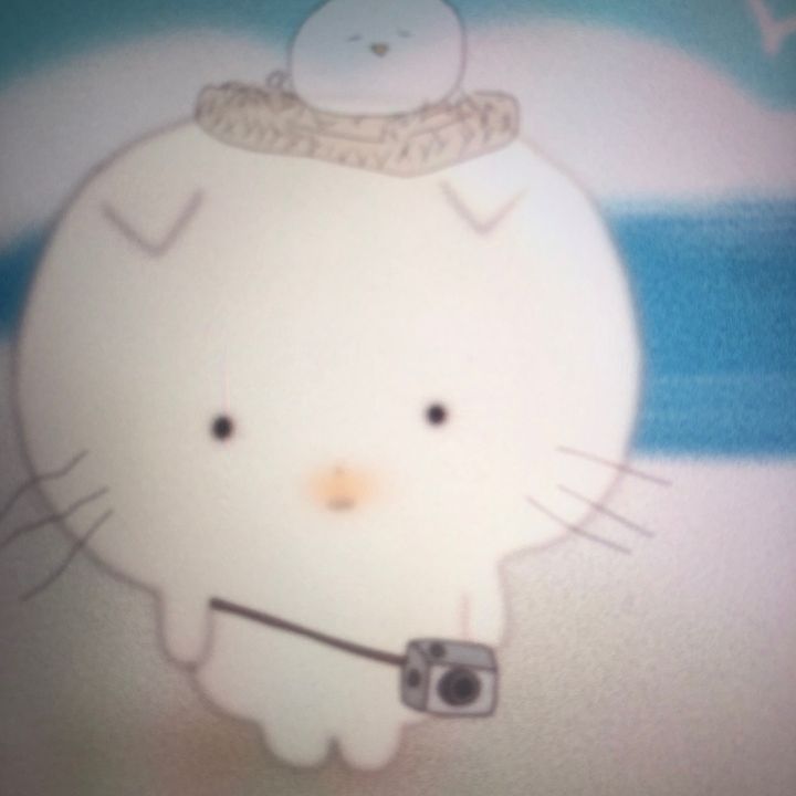 scottjia