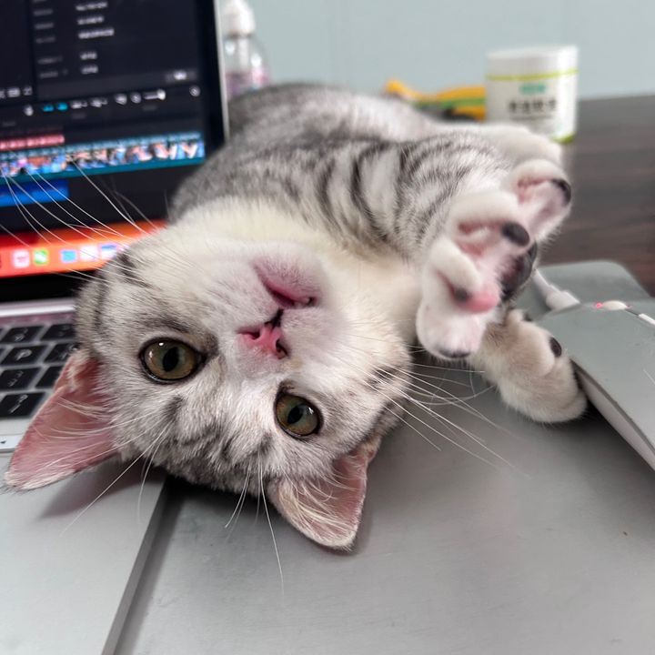mickey_niki5