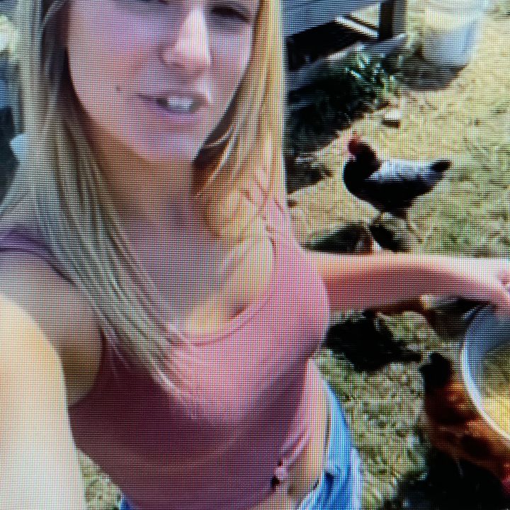 Hoollyy