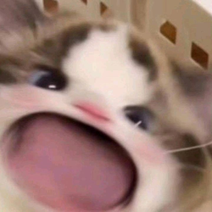 ยุทธภพ