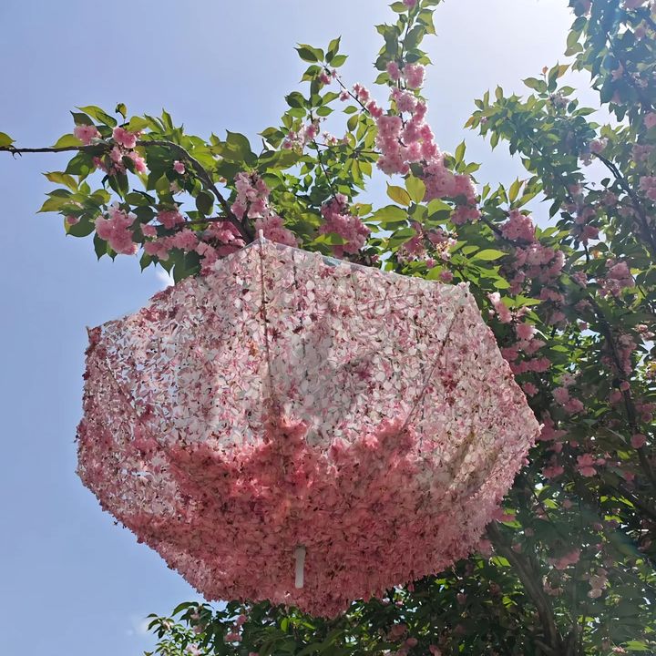 🍒