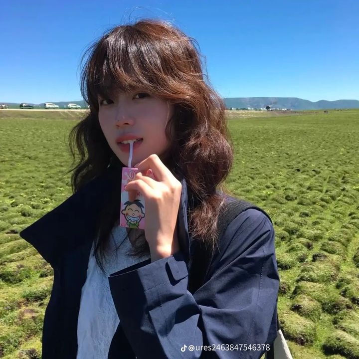 lily