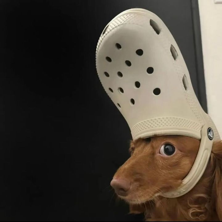 FéeClochette